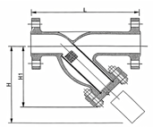 Y type water strainer Structure Diagram 
