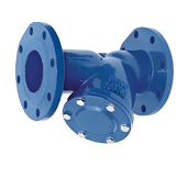 Y type water strainer s